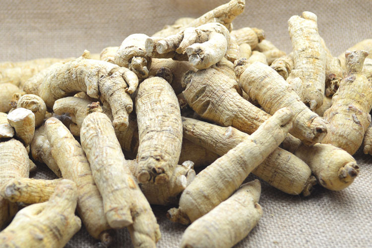 吉林长白山国产西洋参段花旗参