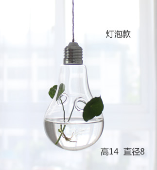 Creative Hanging Transparent Glass Vase Simple Hydroponic Small Infusion Bottle Indoor Gardening Home Decoration Bottle Plant Set
