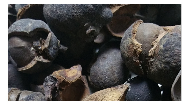 茶果 六堡老茶果 茶果壳 广西特产梧州六堡茶 饮后安神利喉茶叶