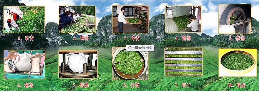 2016清明茶 恩施高山绿茶 无添加安全绿茶 厂价直销特级炒青现货