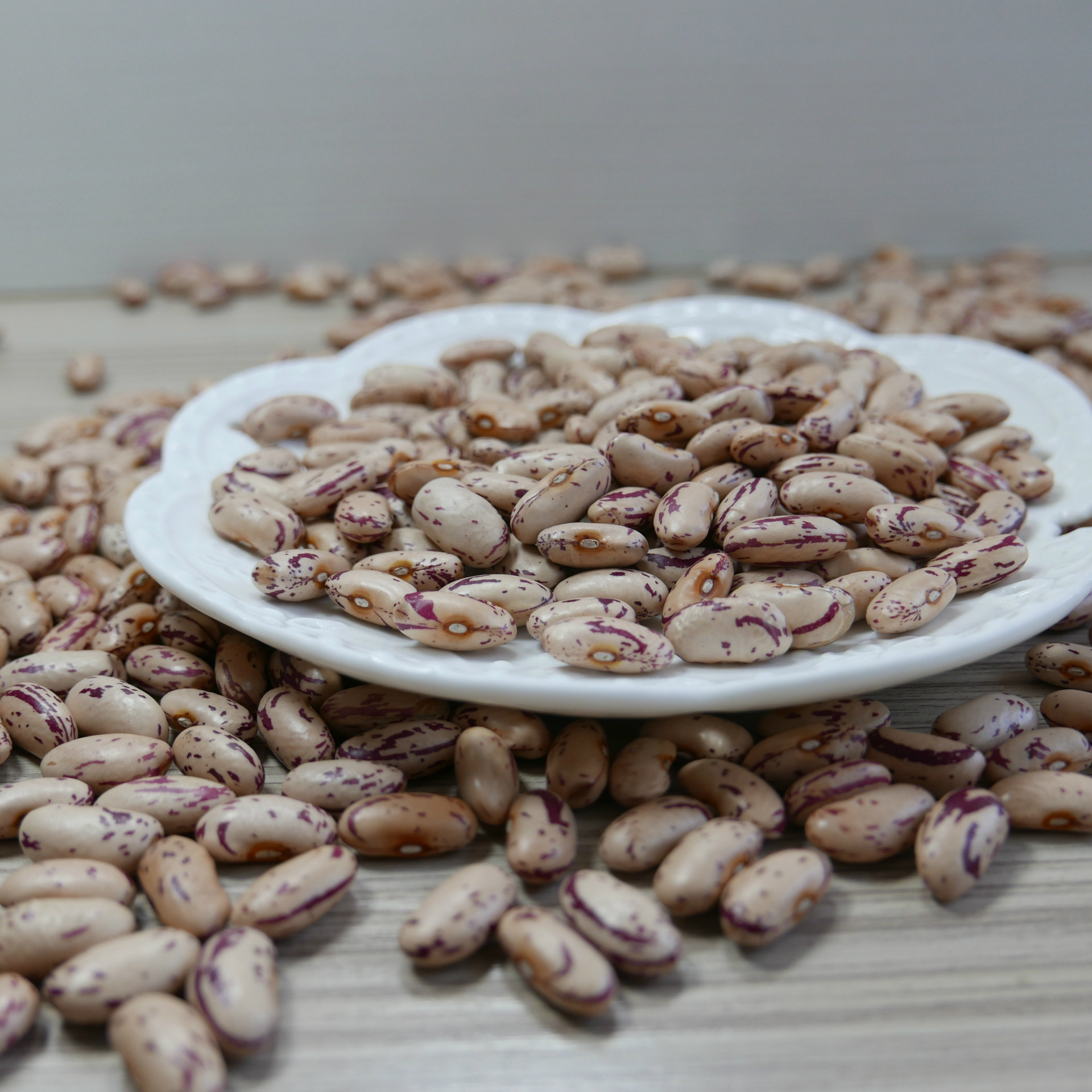 【阿里巴巴】供应2016新奶花芸豆 优质品种