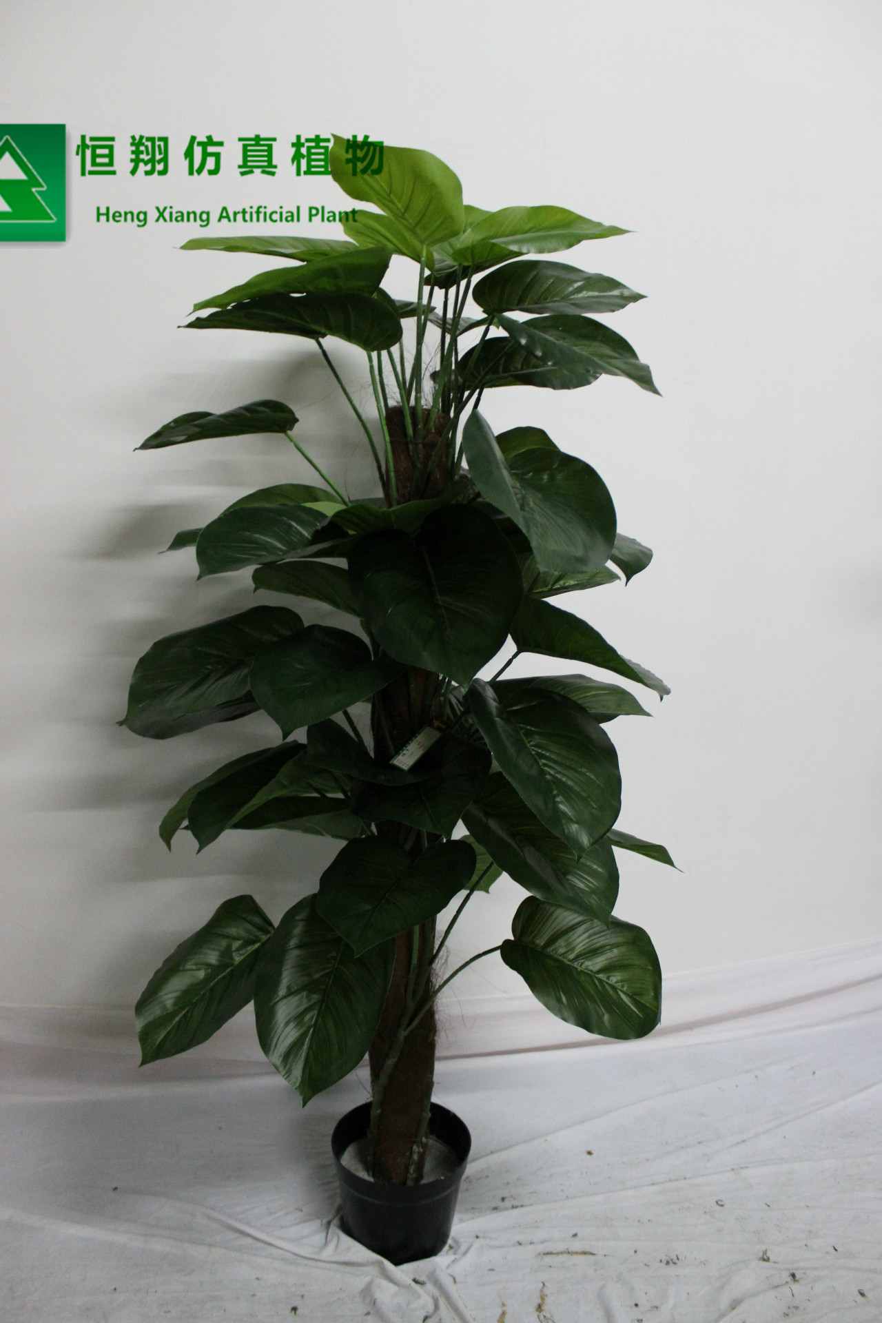 仿真万年青盆栽 批发室内小树景观 人造仿真植物定做厂家直销