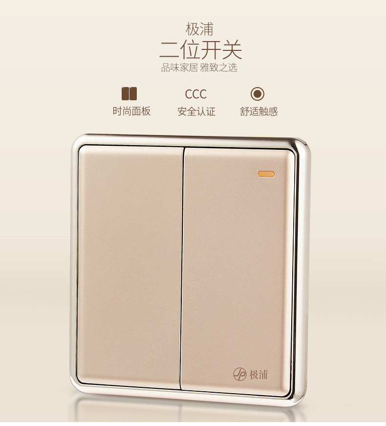 极浦墙壁双开双控开关家用墙壁开关金典系列86型暗装厂家直销