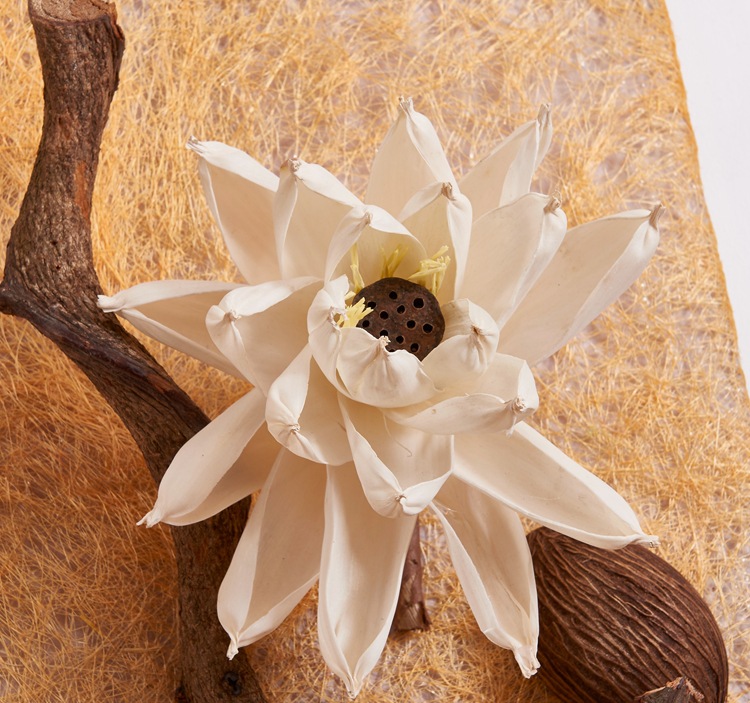 艾吾佳厂家直销通草花纯手工荷花