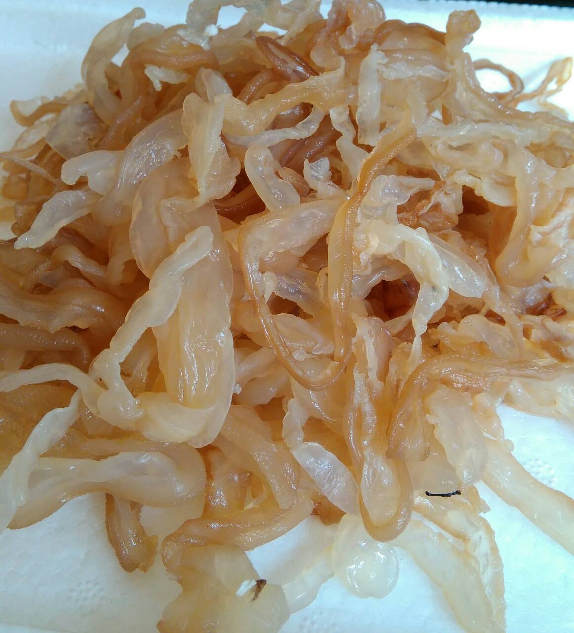 野生海蜇丝 非即食海蜇丝 海鲜凉拌菜海蜇皮 渔民自制500克批发