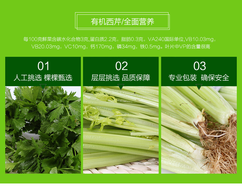 新鲜蔬菜西芹芹菜绿色健康无公害蔬菜新鲜香芹多种蔬菜批