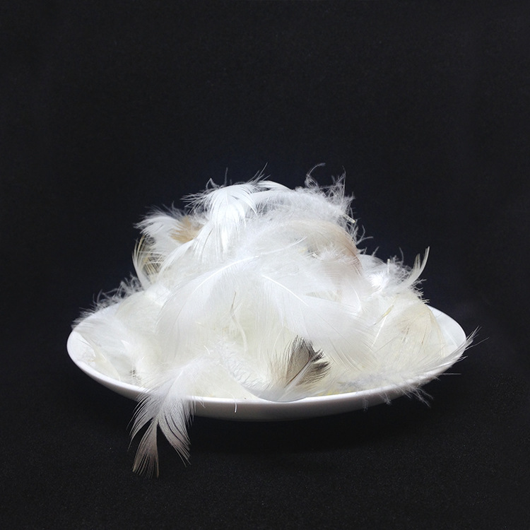 【厂家直销】羽绒羽毛 白色鸭毛片2-4cm 厂家批发 现货 混批