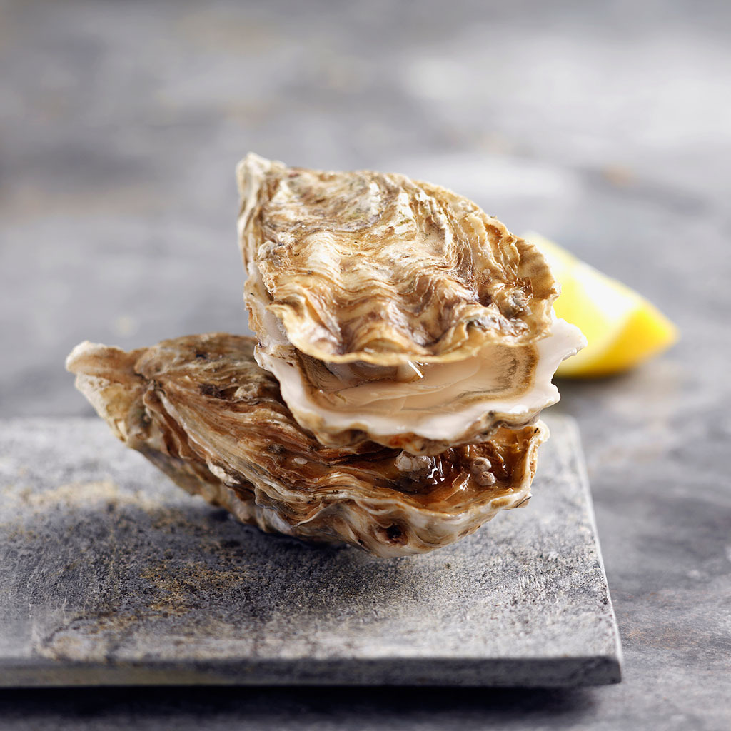 牡蛎