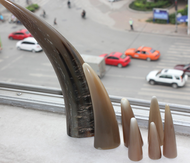 天然白水牛角整角客厅书房家居装饰工艺摆件镇宅辟邪