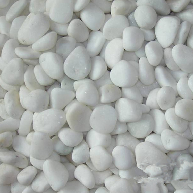 抛光雨花石精品园林铺地天然鱼缸沙石五彩石雨花石抛光白色