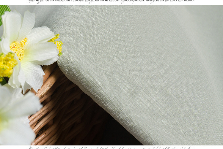 30s冰麻面料 服装面料 衬衫连衣裙打底裤面料 柯桥春夏新款面料