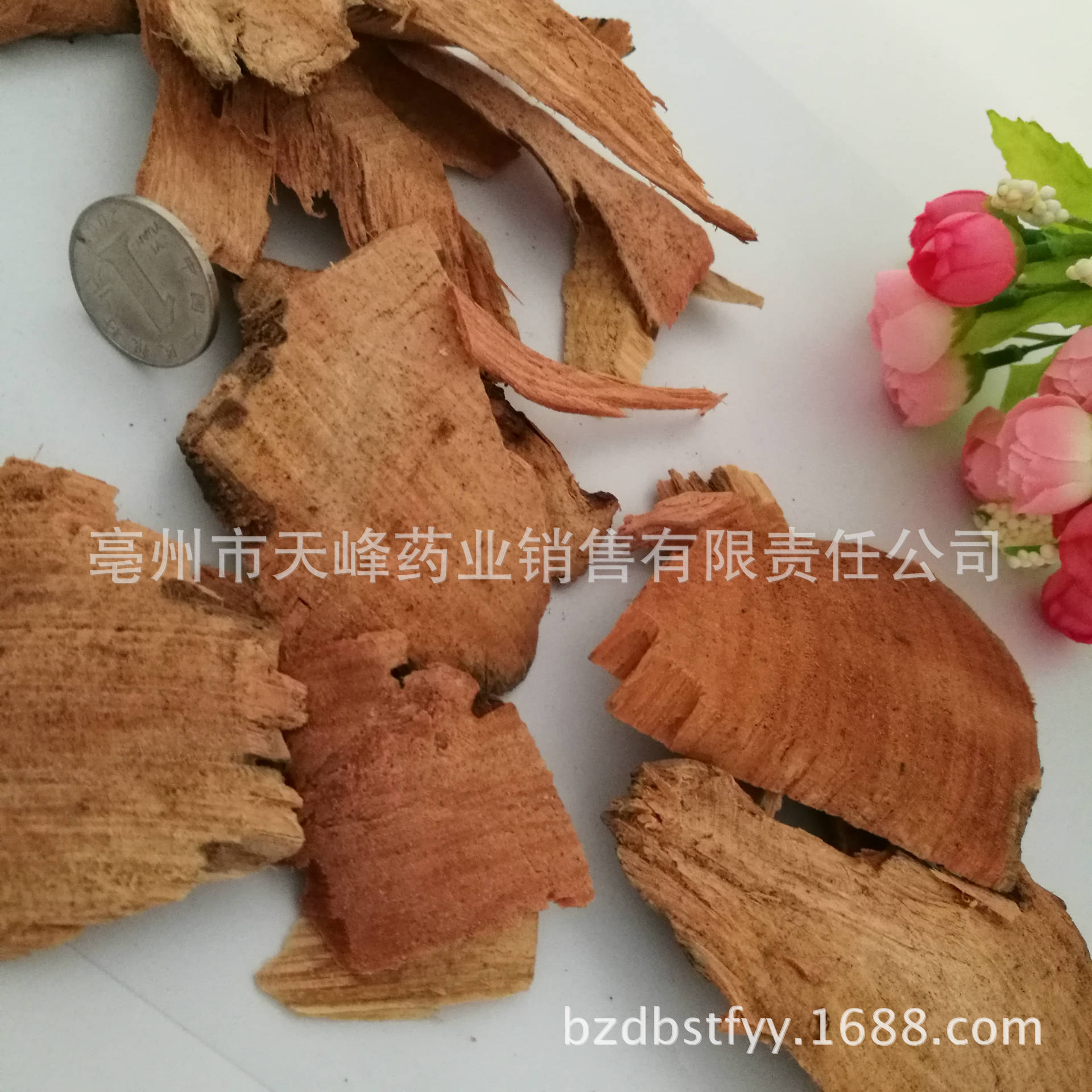 冷背中药材_批发冷背中药材油松节 松枝 松节 货干