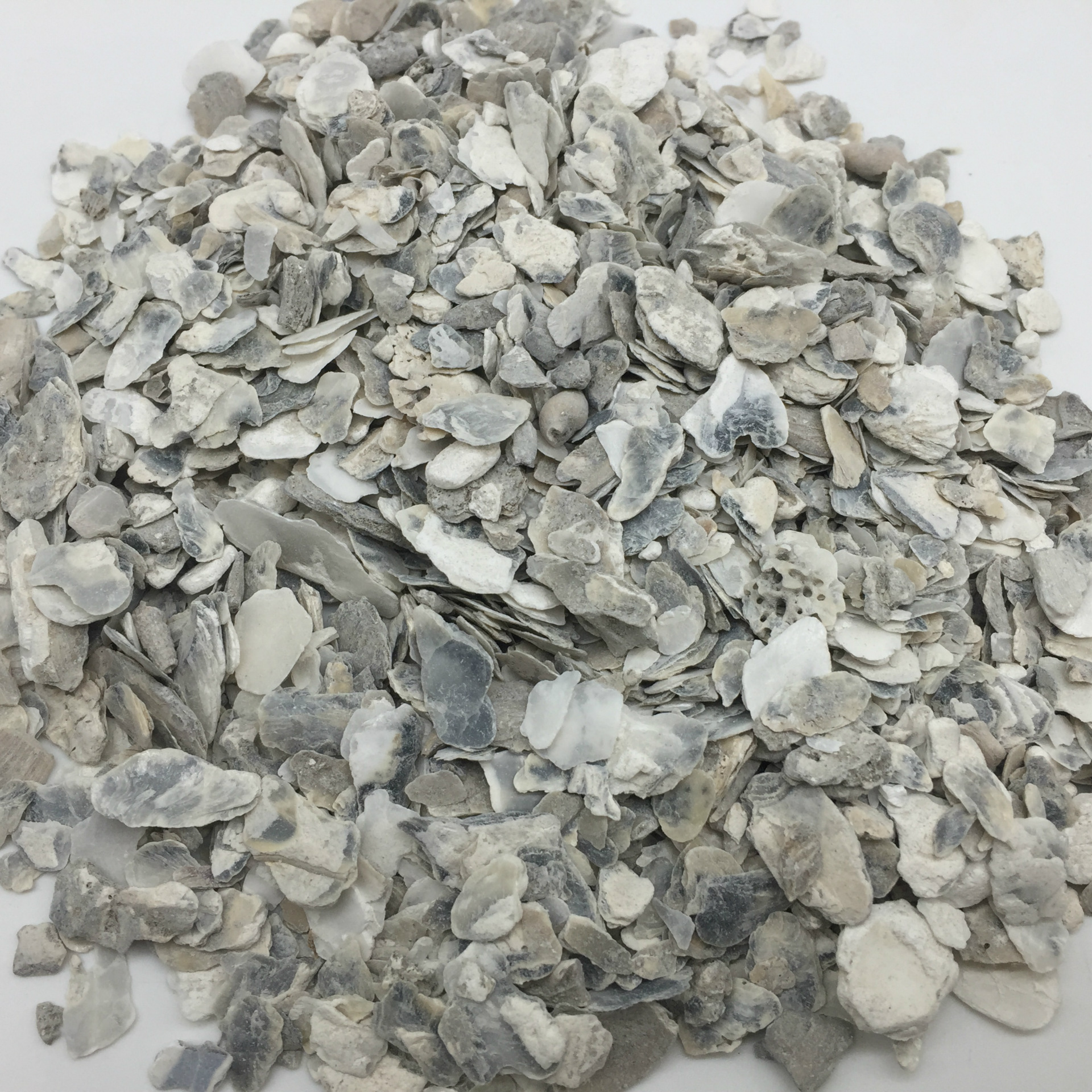 佰万康药业供应中药材 生牡蛎 煅牡蛎 大货批发 支持验货