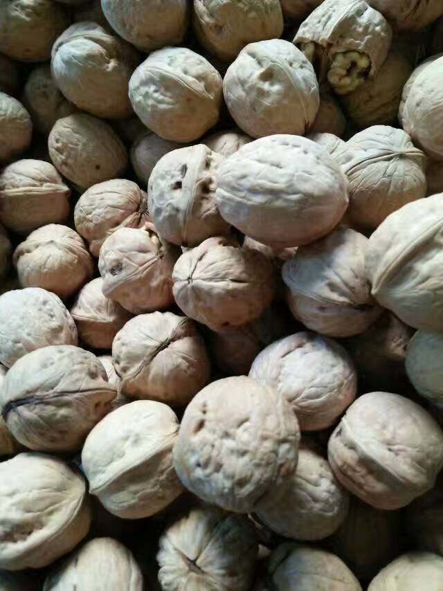 新太行山薄皮核桃涉县特产野生坚果零食非纸皮赛新疆5斤包邮