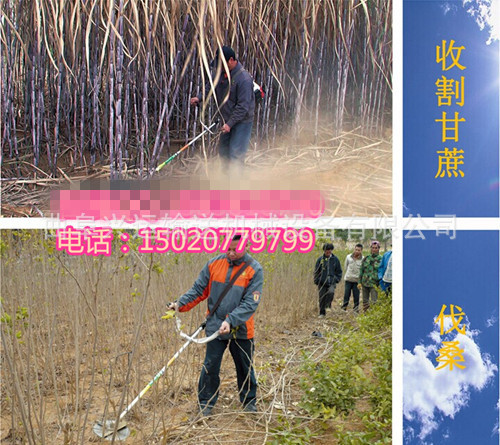 QQ图片20140708152820_副本_副本