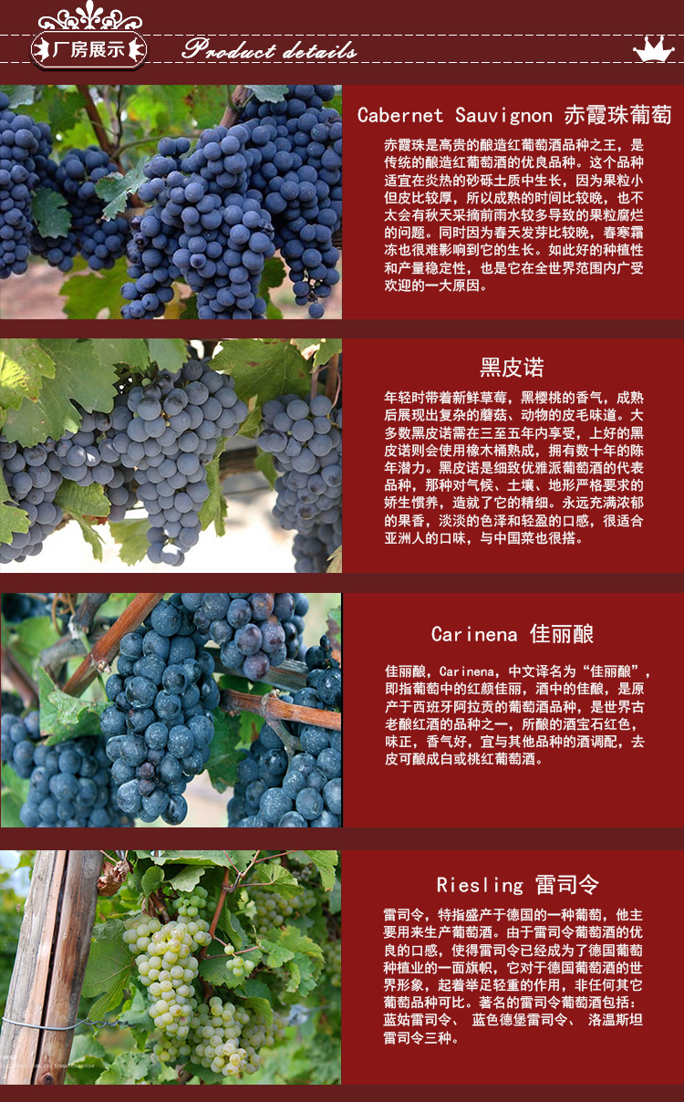 奔沃富bin8智利原酒进口干红葡萄酒红酒厂家直供包邮