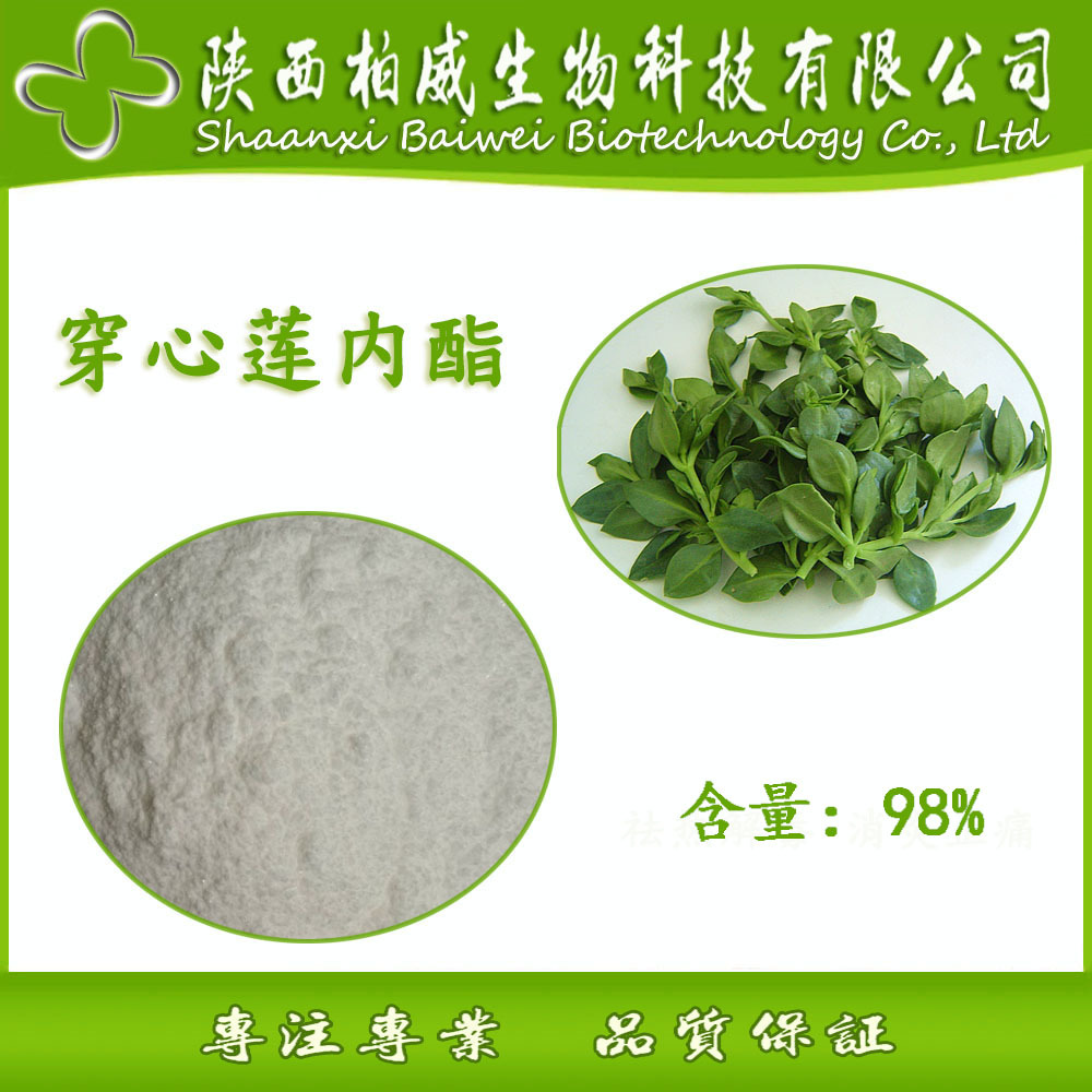 穿心莲内酯 98% 天然原料 穿心莲提取物 工厂现货价格 品质保证