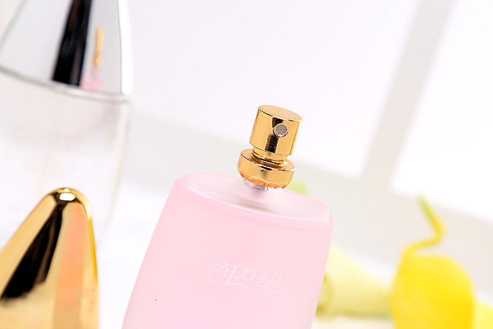 露兰姿梦巴黎女士香水 汽车香水 淡香清新50ml 厂家直销批发