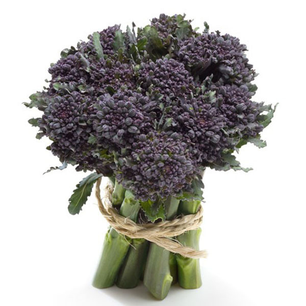 意大利原装进口 蔬菜种子 紫花西兰苔f1杂交种子 紫西兰苔50粒/包