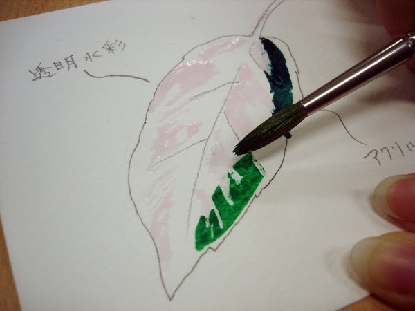 日本白胶_holbein荷尔拜因水彩留白胶 笔式留白液 针管式设计 w469 - 阿里巴巴