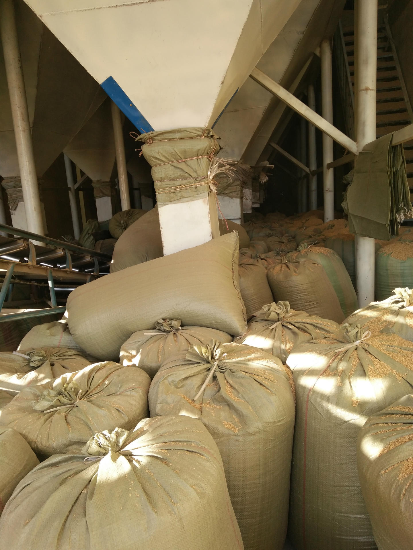 厂家现货销售酿醋 酒厂发酵专用枕芯用压缩稻壳