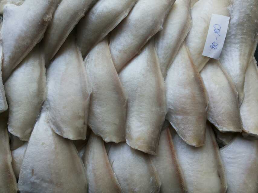 冷冻耗儿鱼板冻耗儿鱼马面鱼火锅酒店自助餐专用食材量大从优