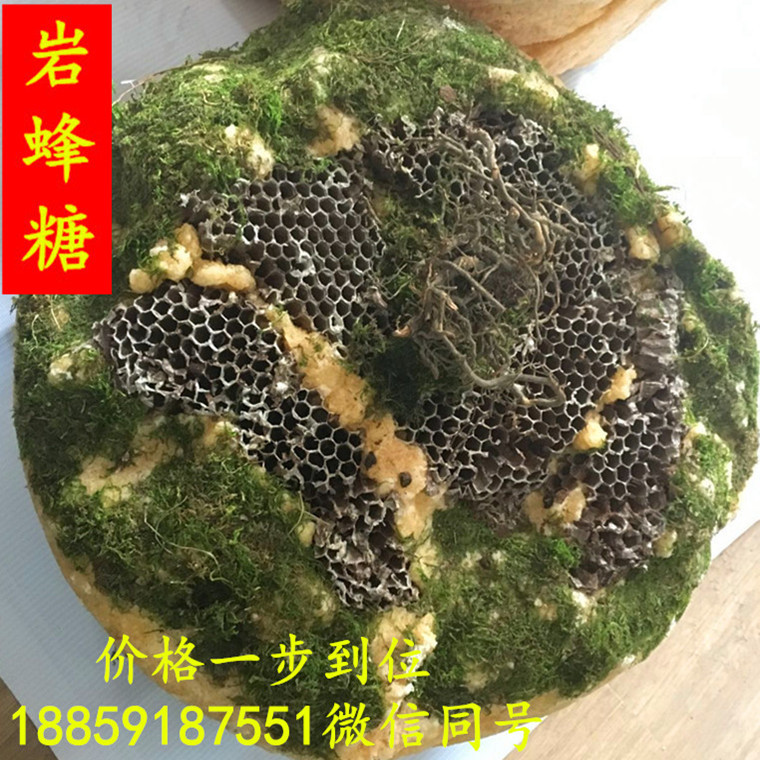 高级补品_高级补品供应商_高级补品批发市场