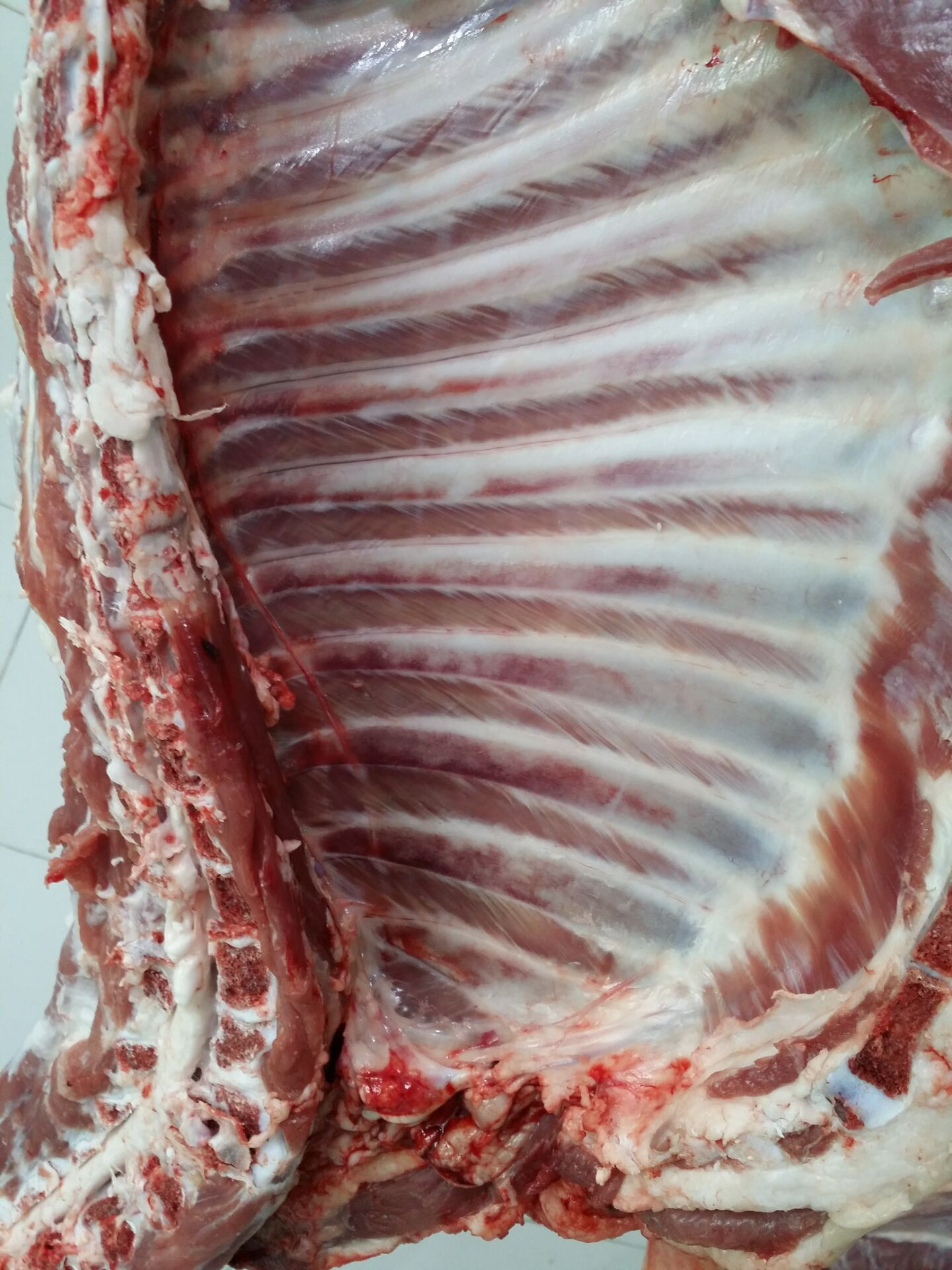 羊排甘肃厂家冷冻羔羊排羊肉产地货源饭店酒店中式烤羊