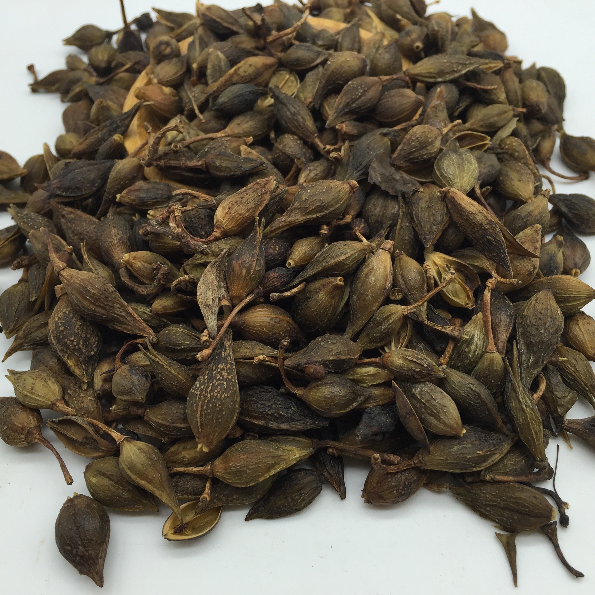 佰万康批发中药材新货连翘 黄翘干净无杂 量大从优 质量保证 - 苗木批