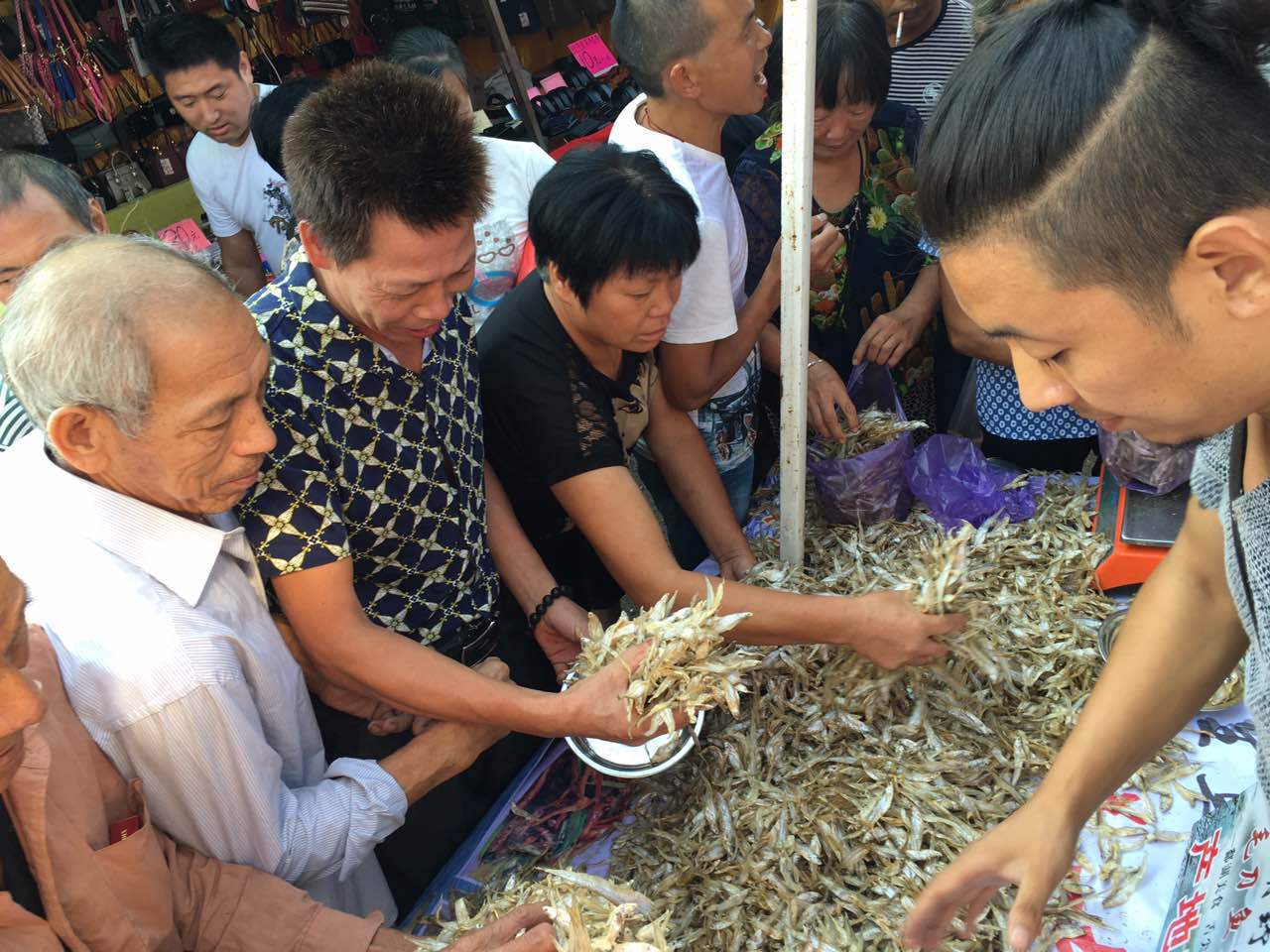 跑江湖地摊火爆鄱阳湖特产 野生毛刀鱼 100%干货 赶集交流会批发