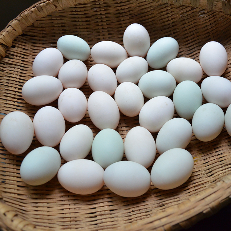家有老农鸭蛋红心农家特产土鸭蛋新鲜可口美味鸭蛋