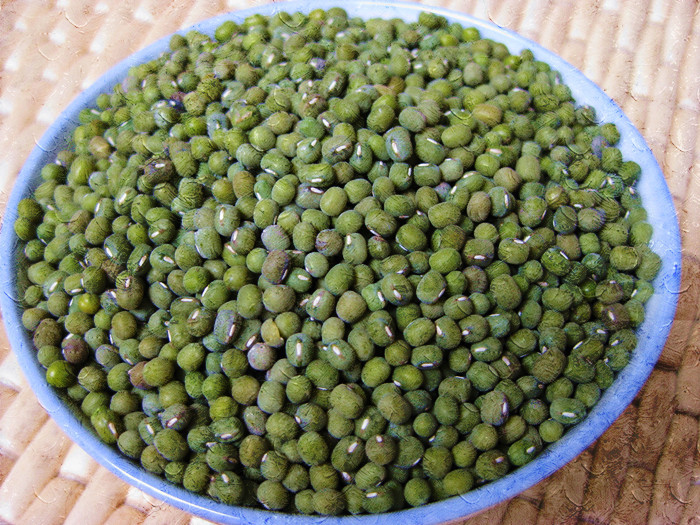 新货毛绿豆 农家种植 绿小豆450克真空包装-菌棒(夏菇)产业网