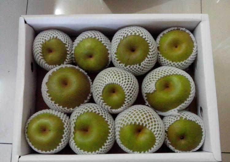 2016年甜优级常州焦溪蜜梨翠冠梨82梨子江苏水果特产雪梨