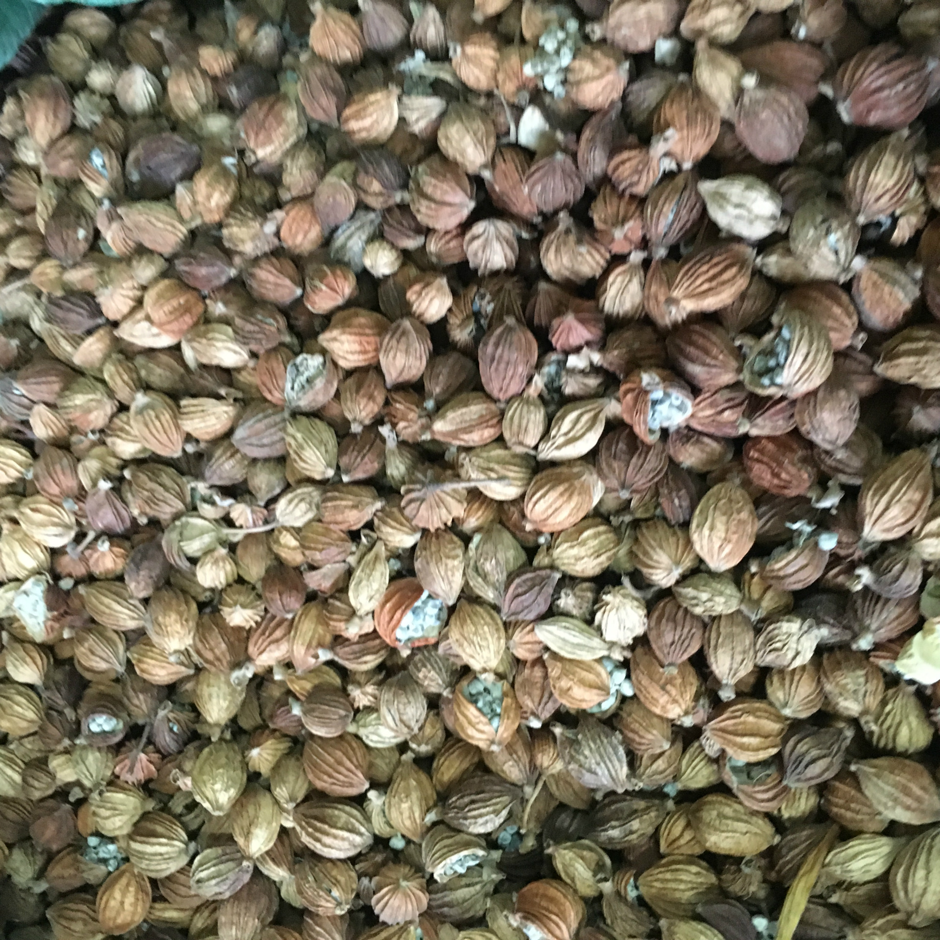 产地直销香砂川砂卤料香辛料火锅料烧鸡公料龙虾料香辛料