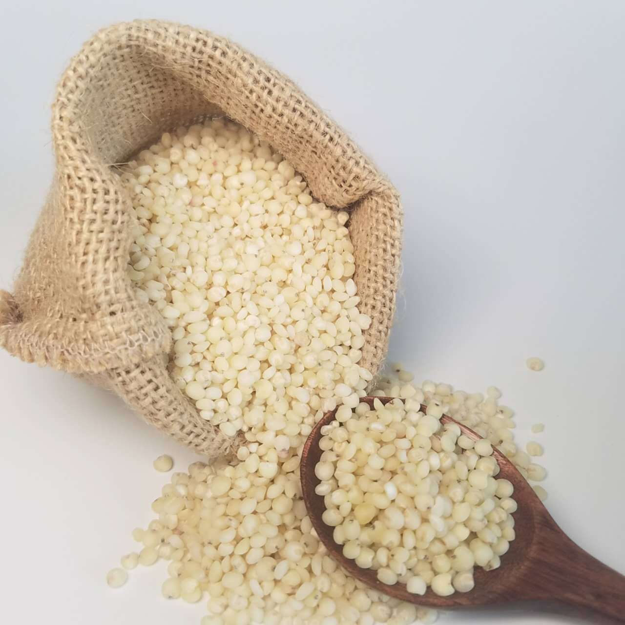 白高粱 五常市白高粱米 东北特产白高粱米 五谷杂粮 绿色有机