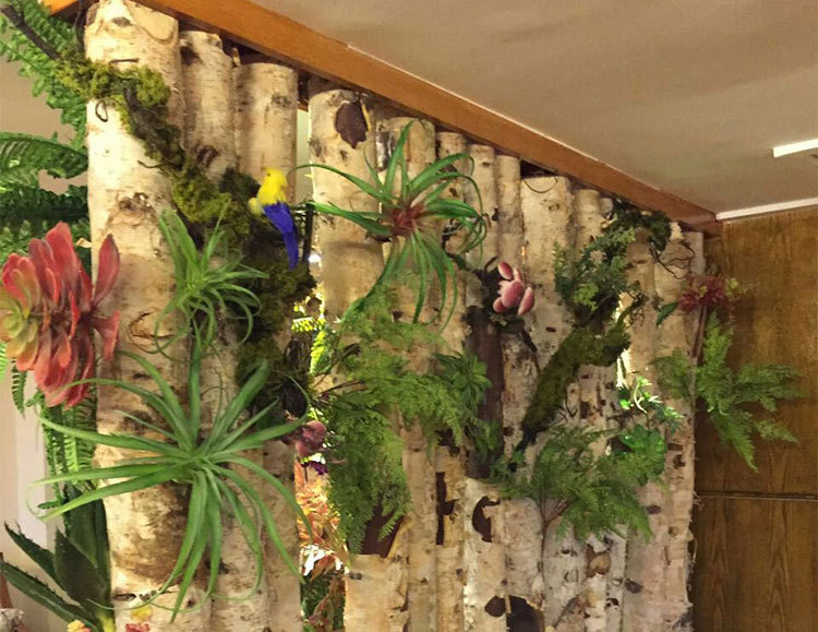 白桦树装饰树段树桩装饰白桦树服装橱窗装饰商场布置白桦树树干