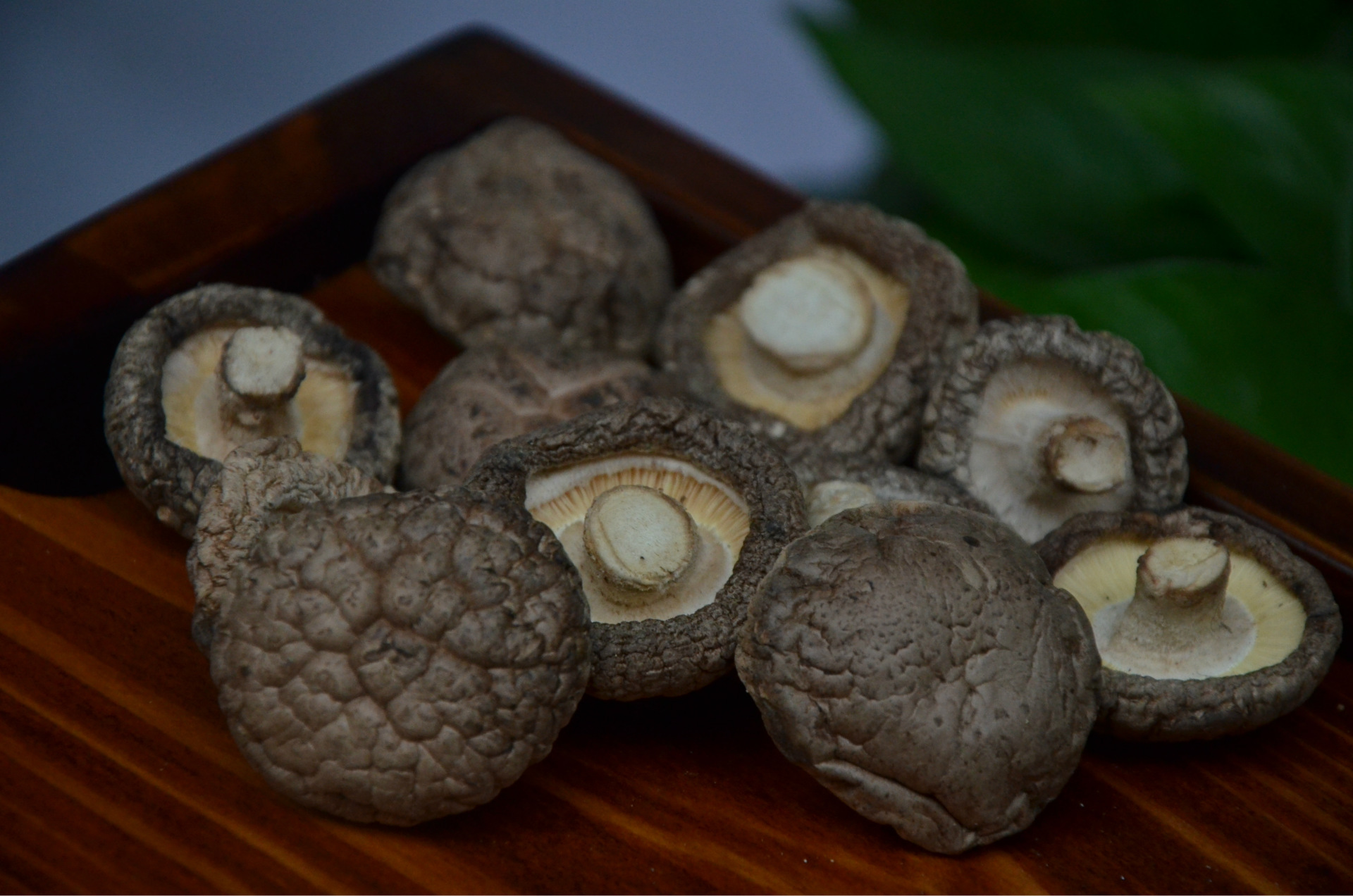 散装优质光面香菇干度好食用菌土特产干货批发产地货源供应热销