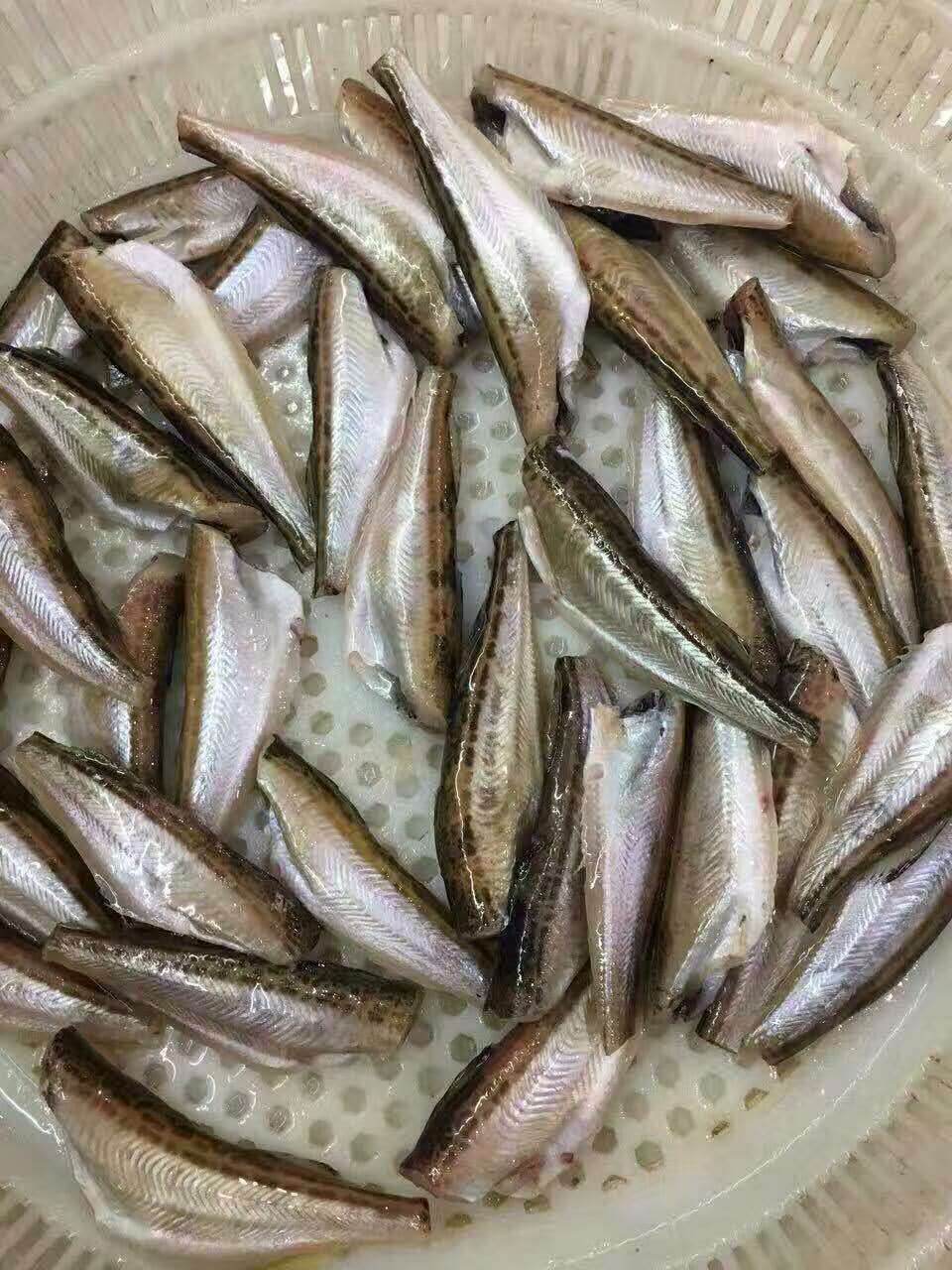 冷冻冰鱼去头去内脏海鲜冰鱼酒店自助餐专用食材