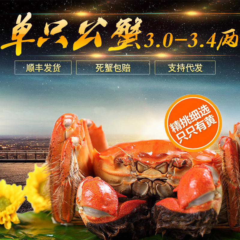 大闸蟹 公蟹3.0-3.4两 鲜活保温包装10只起拍阳澄湖镇发货-阿里巴巴