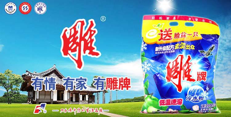 厂家批发洗衣粉 雕牌除菌无磷洗衣粉508g 阳光青苹 低价.