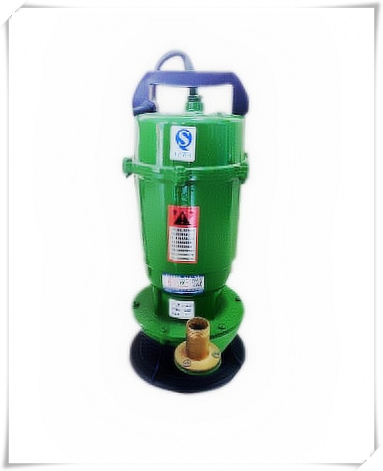 小型220v家用抽水泵370w潜水泵高杨程灌溉农用水泵厂直销