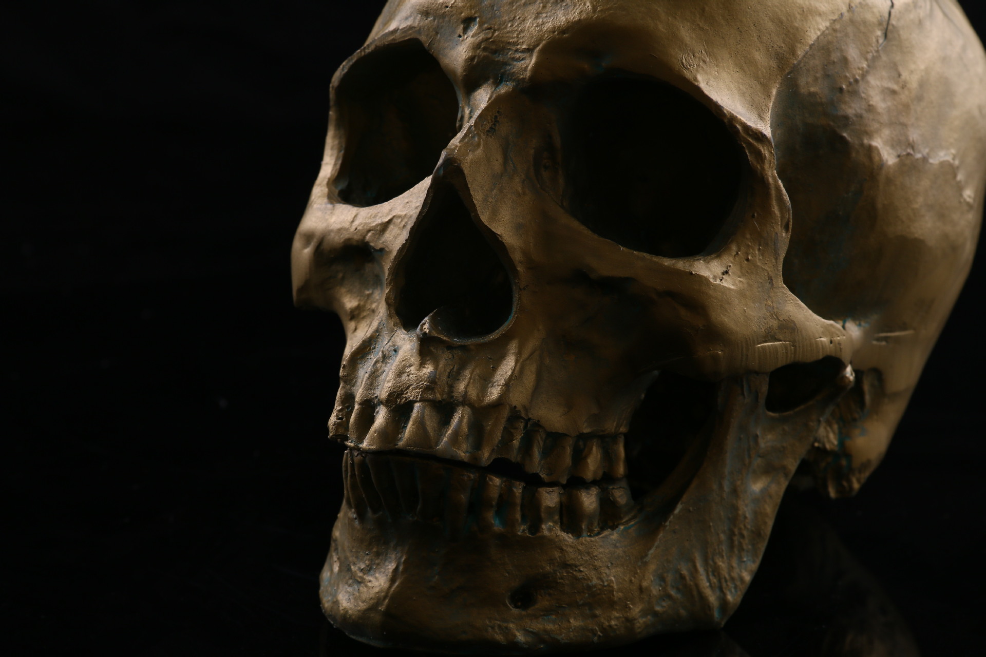 医学头骨模型 仿真树脂骷髅 万圣节骷髅头居家摆件个性装修仿古铜