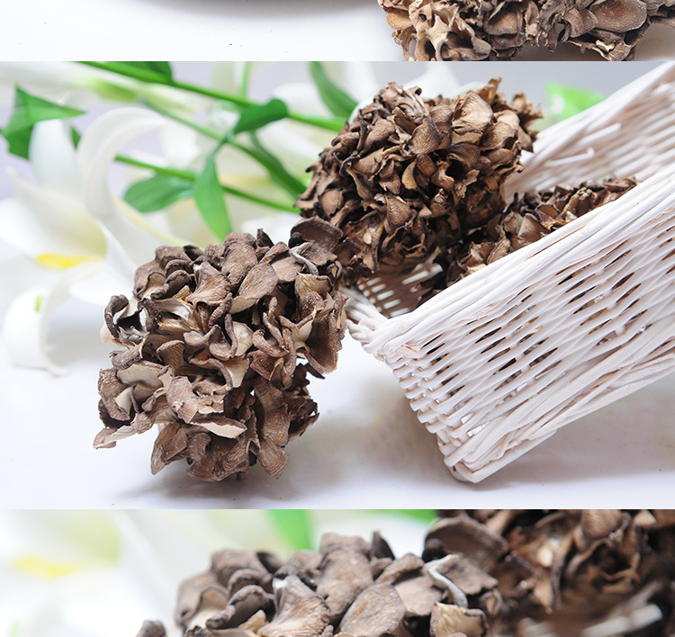 新货正宗庆元特级灰树花干货无泥沙舞茸野生灰树菇批发