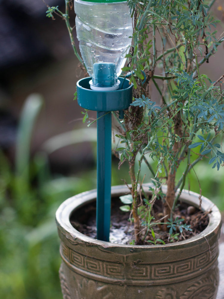 自动浇水花器家庭用可乐瓶渗滴水器懒人灌设备神器花卉盆栽调流量