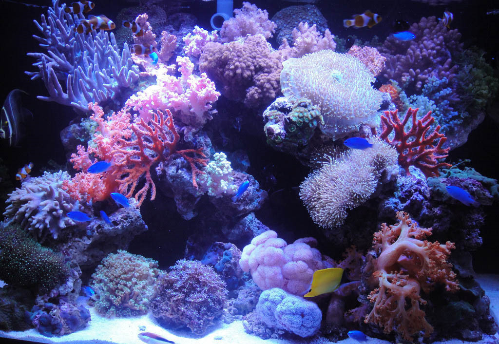 鱼缸灯 gako led水族支架灯 水草照明灯 珊瑚支架灯 鱼缸led灯