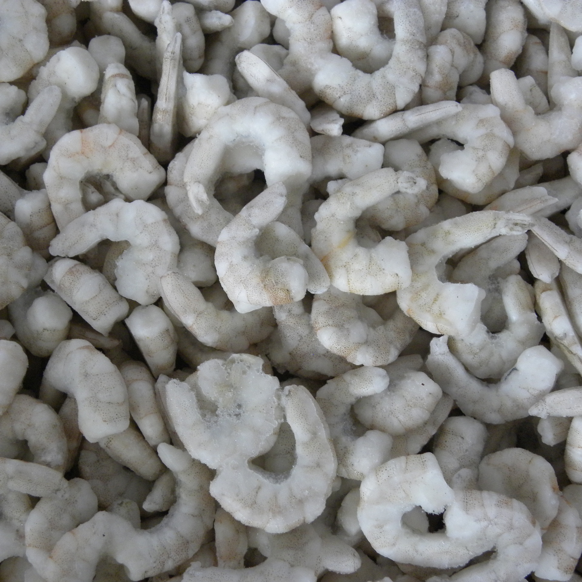 单冻虾仁活剥野生南美虾新鲜水晶大虾130--150现货批发67/公斤