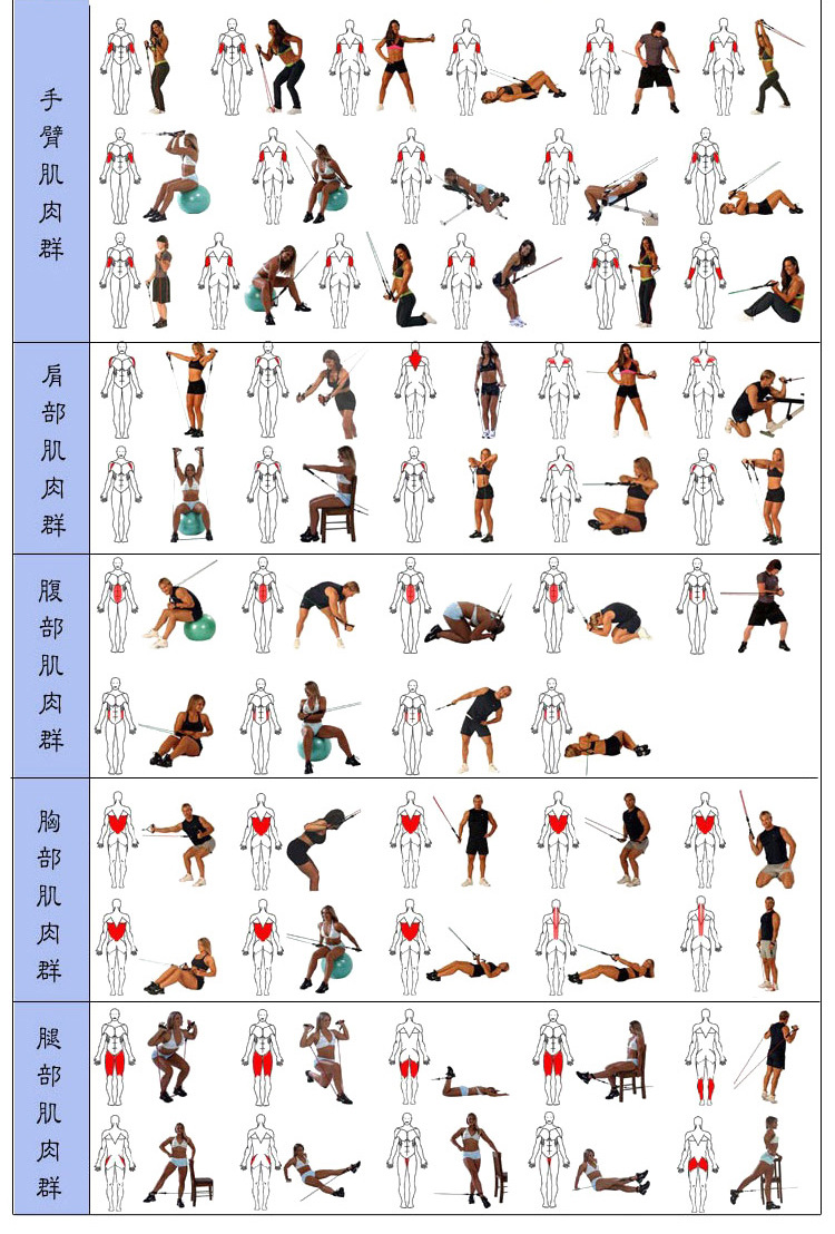 厂家直销多功能运动锻炼田径瑜伽弹力拉力带/田径拉力带/ 拉力带