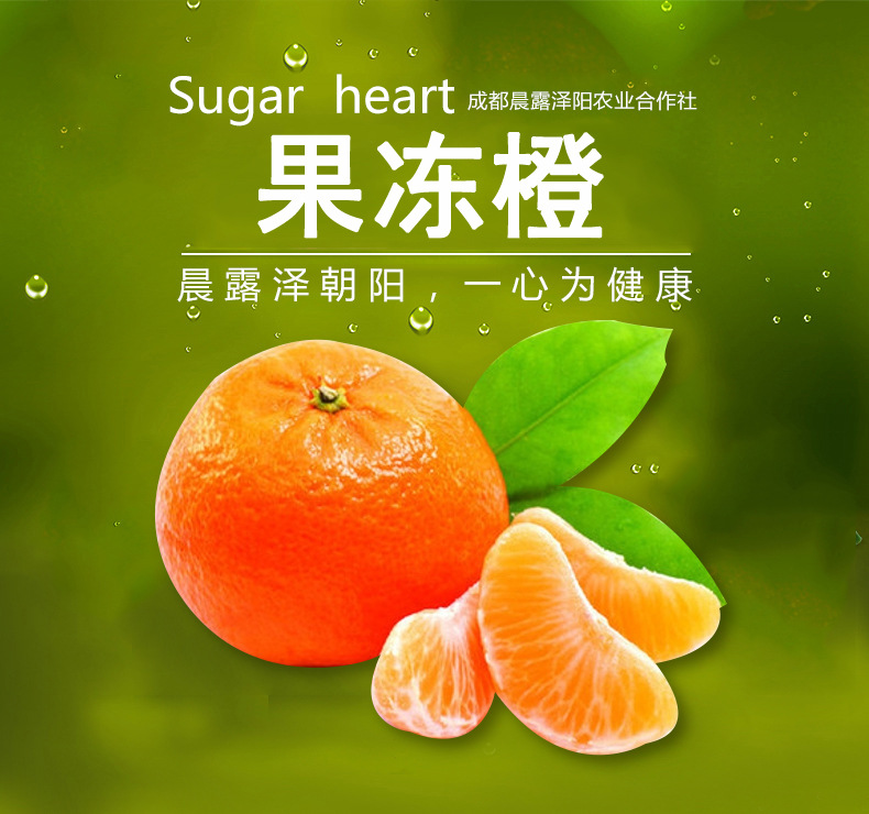 新鲜酸甜多汁水果 爱媛果冻橙5斤16枚装箱包装果冻橙直销批发