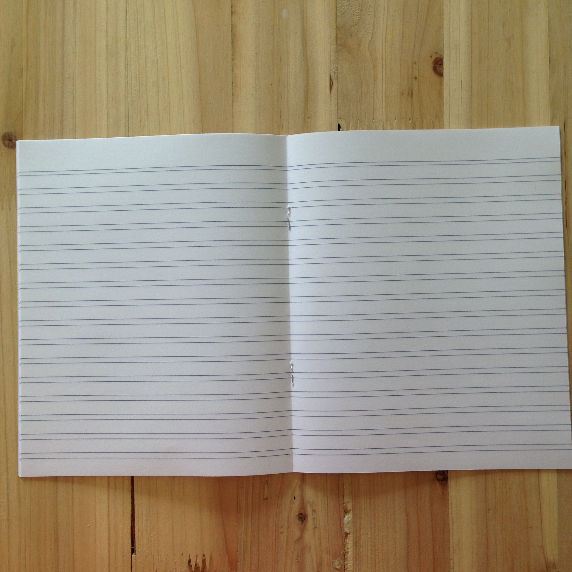 玛丽 大语文薄 学生统一作业本 大语文本