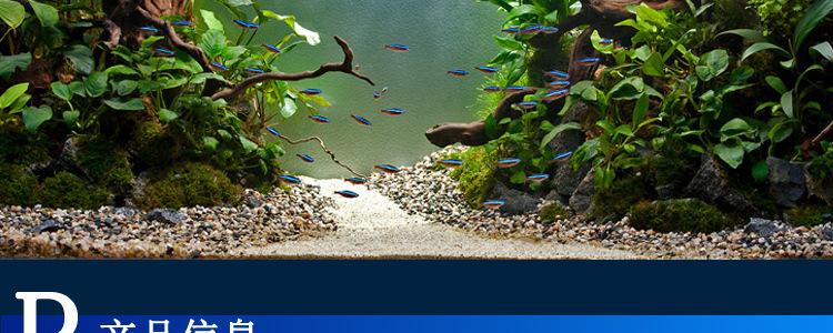 水族鱼缸造景装饰底砂 铁胆沙黑工沙熬虾专用沙黑胆沙黑工砂